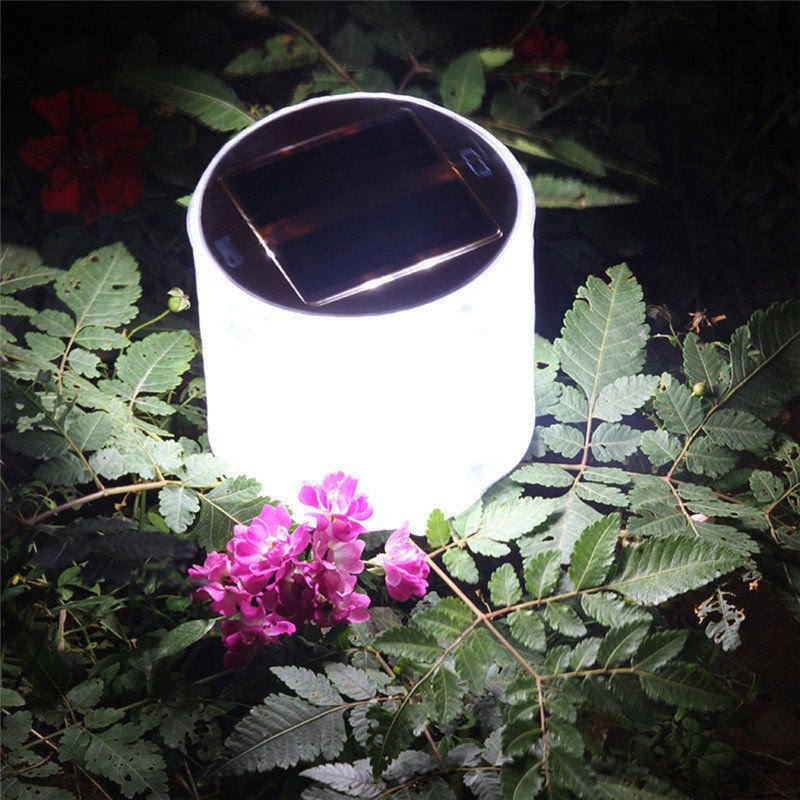 5178015359634.jpg 5178015359634.jpg